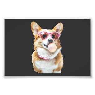 Impression Photo Corgi