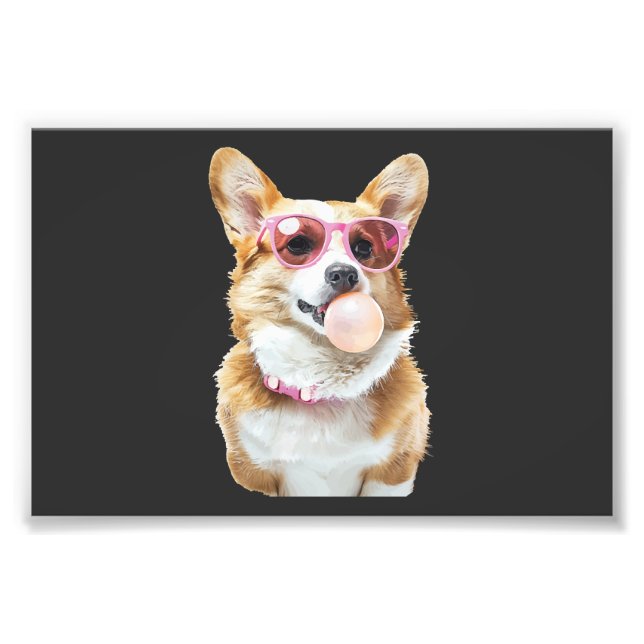 Impression Photo Corgi    (Devant)