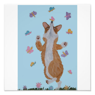 Impression Photo Corgi gallois dansant avec des papillons