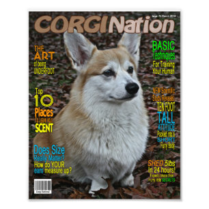 Impression Photo Corgi Nation Magazine (impression personnalisable)