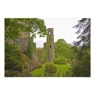 Impression Photo Cork, Irlande. Le célèbre château de Blarney 2