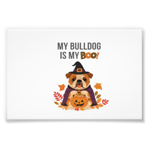 Impression Photo Costume Halloween Bouledogue Mon Bouledogue est m