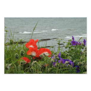 Impression Photo Côte de fleur sauvage