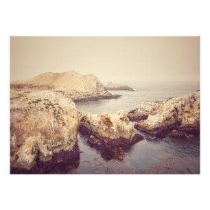 Impression Photo Côte de Point Lobos