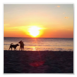 Impression Photo coucher de soleil