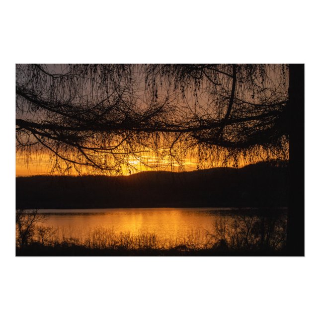 Impression Photo Coucher De Soleil À Travers Les Arbres (Devant)