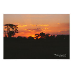 Impression Photo Coucher de soleil Acacia