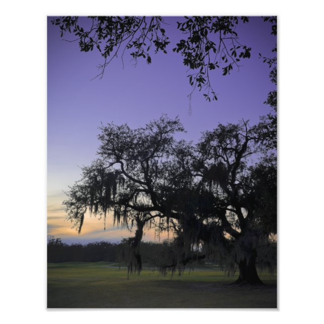 Impression Photo Coucher de soleil d'Audubon Park (Devant)