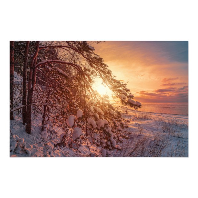 Impression Photo Coucher de soleil sur la mer et le pin (Devant)