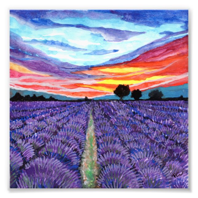 Impression Photo Coucher de soleil sur le champ Lavender (Devant)