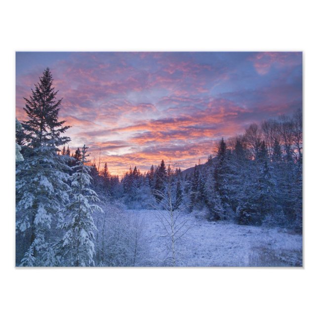 Impression Photo Coucher de soleil vibrant peint le ciel au-dessus  (Devant)