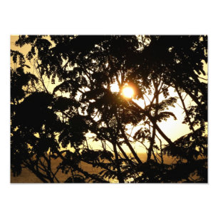 Impression Photo Coucher du soleil à travers les arbres I Photograp