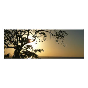 Impression Photo Coucher du soleil à travers les arbres II Photogra