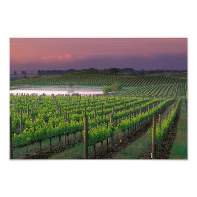 Impression Photo Couleur du soleil dans le brouillard lointain derr (Devant)