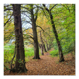 Impression Photo Couleurs d'automne