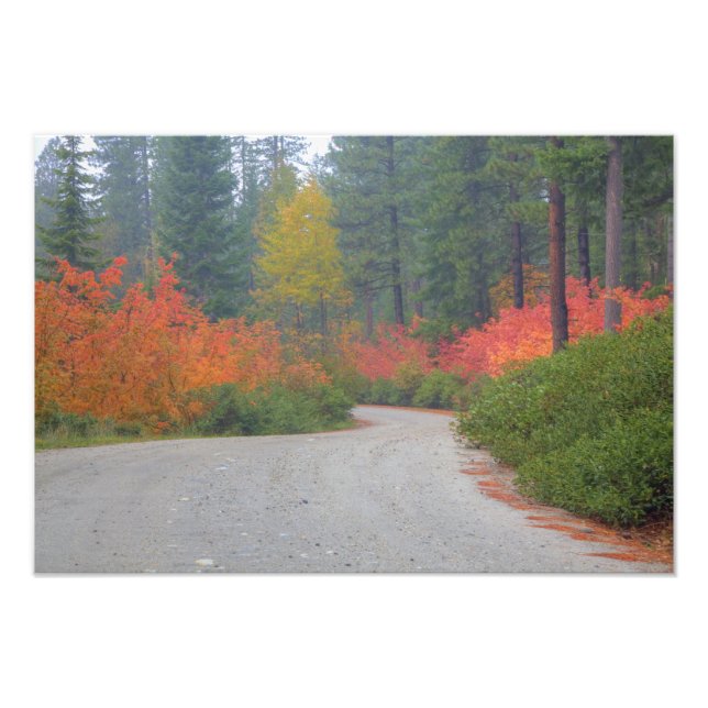 Impression Photo Couleurs d'automne des forêts dans The Cascade (Devant)