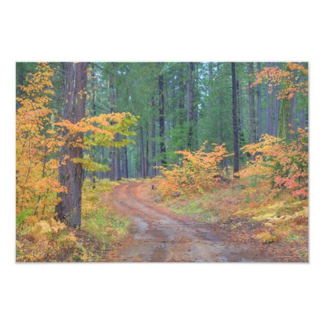 Impression Photo Couleurs d'automne des forêts dans The Cascade 6 (Devant)