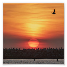Couleurs de coucher de soleil magnifiques - Marina