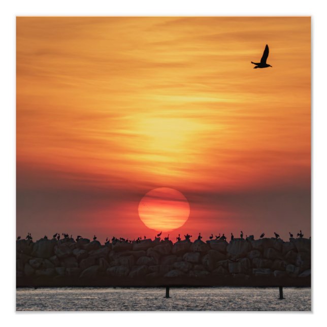 Impression Photo Couleurs Magnifiques de Coucher de Soleil - Marina (Devant)