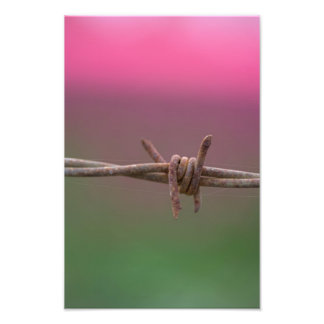 Impression Photo Couleurs vives.