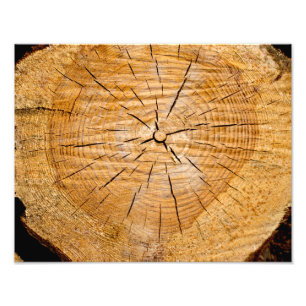 Impression Photo Coupe de vie