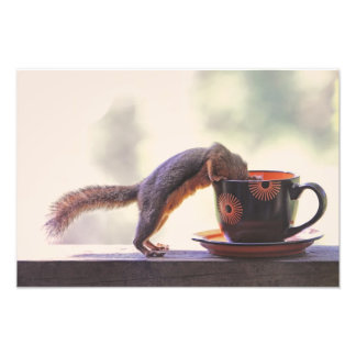 Impression Photo Coupe d'écureuil et de café