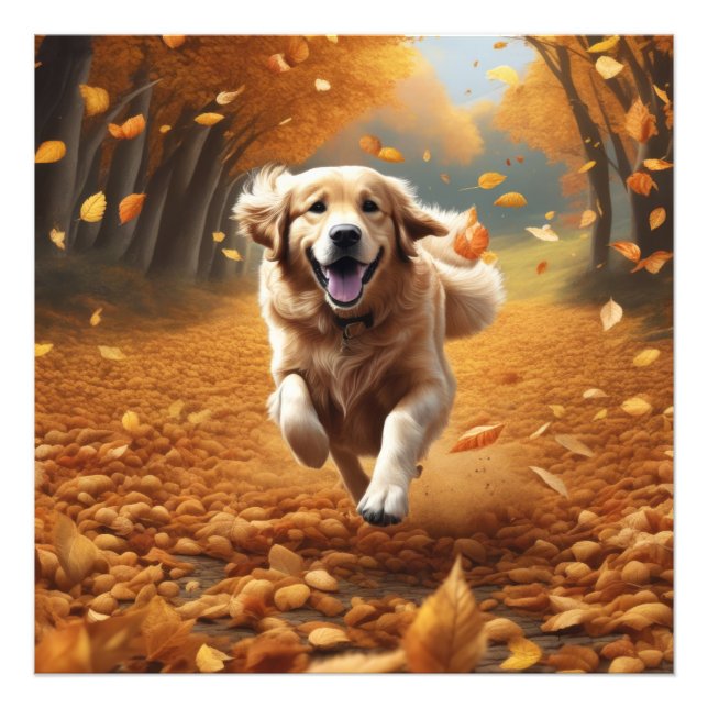 Impression Photo Courir un chien en automne Feuilles d'art Imprimer (Devant)