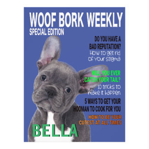 Impression Photo Couverture du magazine Boston Terrier Parody