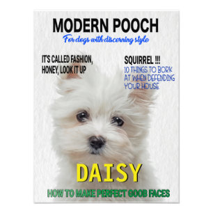 Impression Photo Couverture du magazine parodique Maltese Terrier