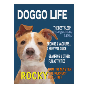 Impression Photo Couverture du magazine Pitbull Parody