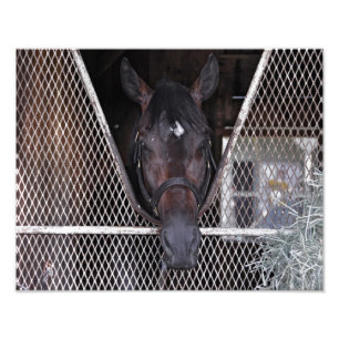 Impression Photo Cozmic un chez Saratoga historique