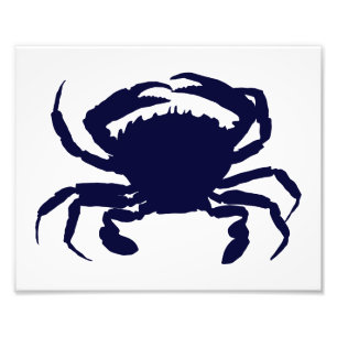Impression Photo Crabe blanc et bleu foncé