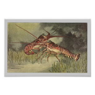 Impression Photo Crawfish ou langouste Imprimer Vintage
