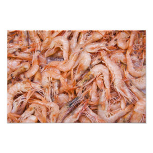 Impression Photo Crevettes