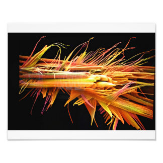 Impression Photo Cristaux de caféine Imprimer