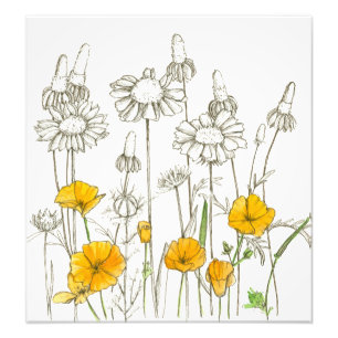 Impression Photo Croquis Plante Orange California Poppy Flowers