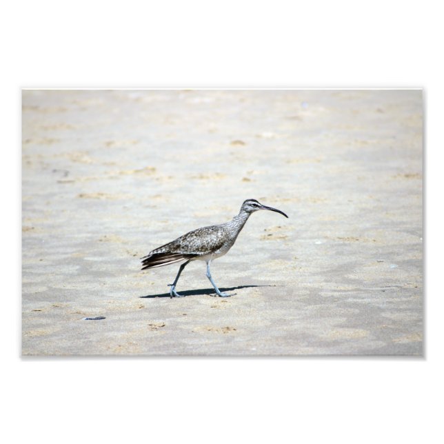 Impression Photo Crystal Cove State Park (Devant)