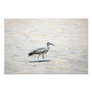 Impression Photo Crystal Cove State Park