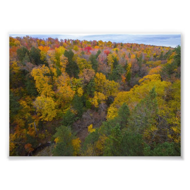 Impression Photo Cut River valley, Fall, Michigan (Devant)