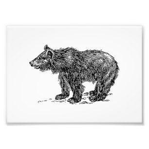 Impression Photo Cute Bear Cub