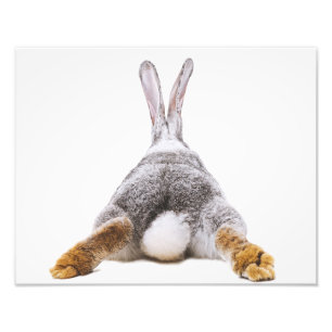 Impression Photo Cute Bunny Cotton Queue Animal Wall Art