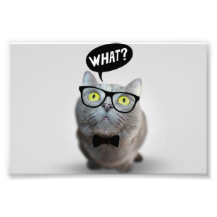 Impression Photo Cute Chat chaton avec lunettes ce qui cite drôle