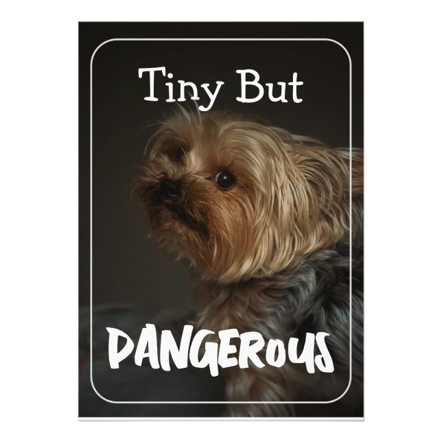 Impression Photo Cute Customizable Personalized Terrier Dog Mom Pet (Devant)