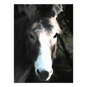 IMPRESSION PHOTO CUTE DONKEY