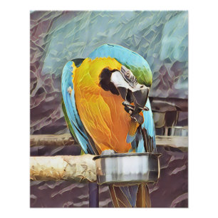 IMPRESSION PHOTO CUTE MACAW