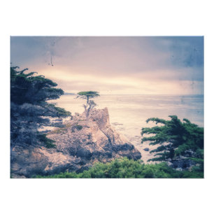 Impression Photo Cypress Lone