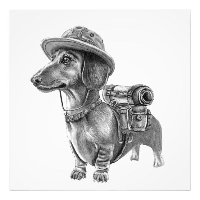 Impression Photo Dachshund aventurier (Devant)
