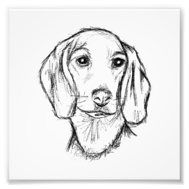Impression Photo dachshund hand drawn sketch black white puppy dog  (Devant)