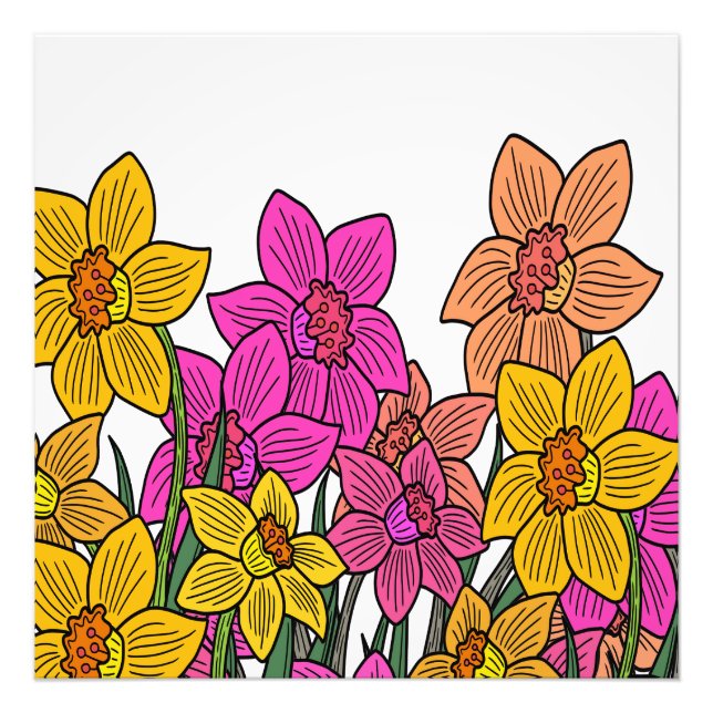 Impression Photo Daffodils colorés Fleurs Design (Devant)