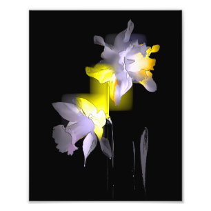 Impression Photo Daffodiques cubes
